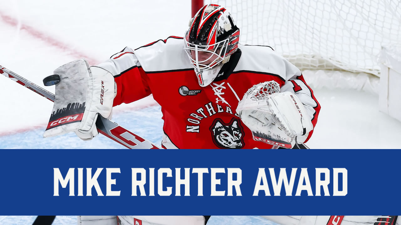 Mike Richter  New york rangers, Rangers hockey, Hockey goalie